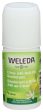 Weleda Deodorant Citrus Roll On 1.7 Oz - Pack Of 1 on Sale