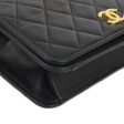 Chanel Black Lambskin Pushlock Mini Full Flap Shoulder Bag Online Sale