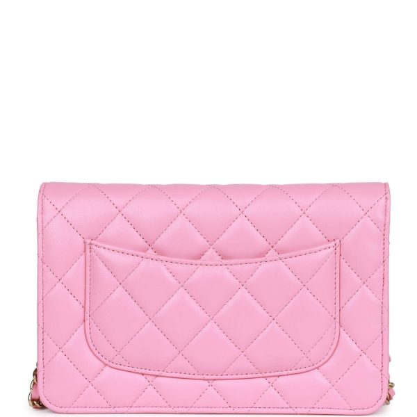 Chanel Wallet On Chain WOC Pink Lambskin Gold Hardware Online