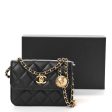 CHANEL QUILTED LAMBSKIN PEARL CRUSH CLUTCH WITH CHAIN on Sale