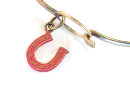 Horseshoe Charm Bracelet, Necklace, or Charm Only on Sale