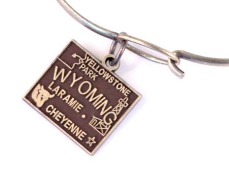 Wyoming State Love Charm Bracelet, Necklace, or Charm only Online now