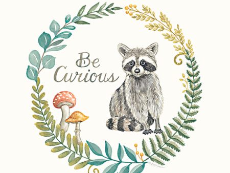 DS1959 - Be Curious Raccoon - 12x12 Online now