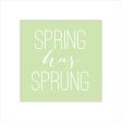 DOG143 - Spring Has Sprung - 12x12 Online Hot Sale